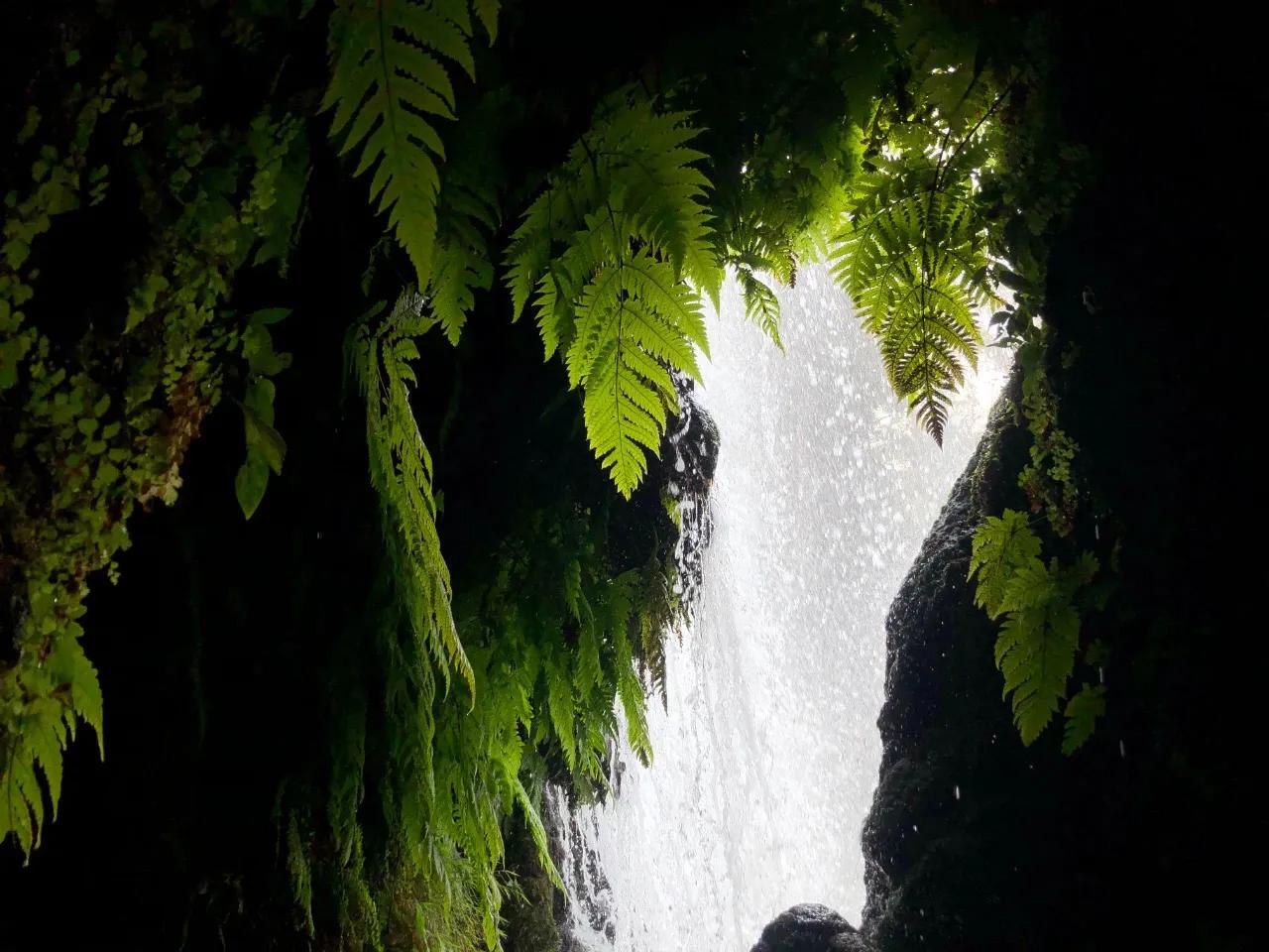 贵州黄果树瀑布风景印象,贵州黄果树瀑布视频全景