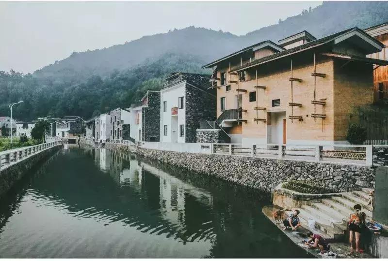 最美银杏秋景自驾攻略,杭州银杏树旅游攻略