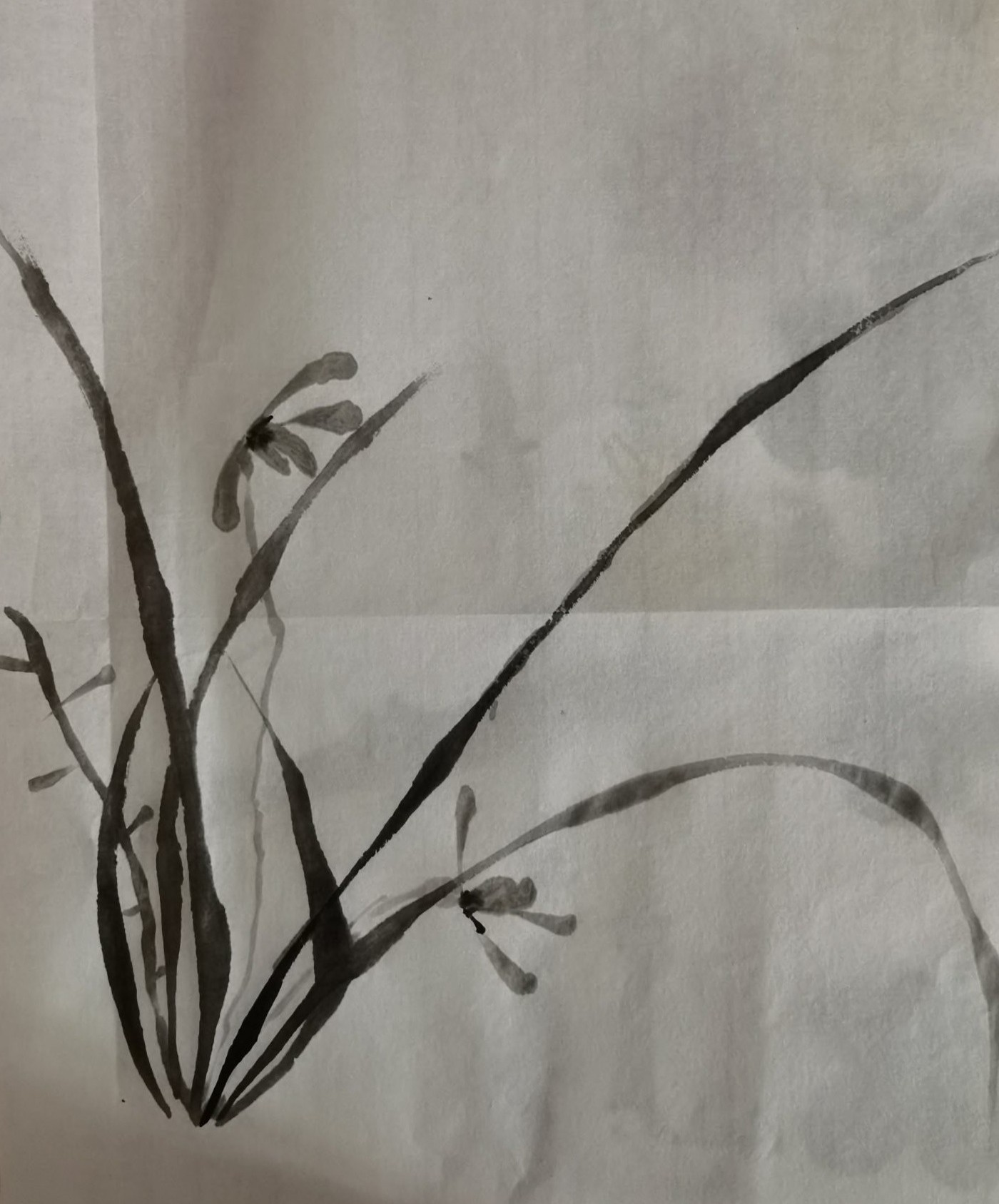 文化的定义有多少种,文化的定义