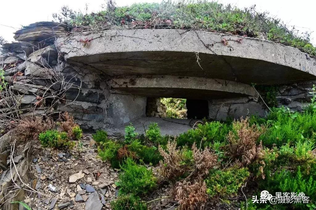 精致小青岛，秀美渔村入画来