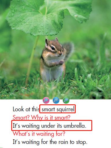 小学英语关于动物的课文,thewonderfulwildanimals绘本