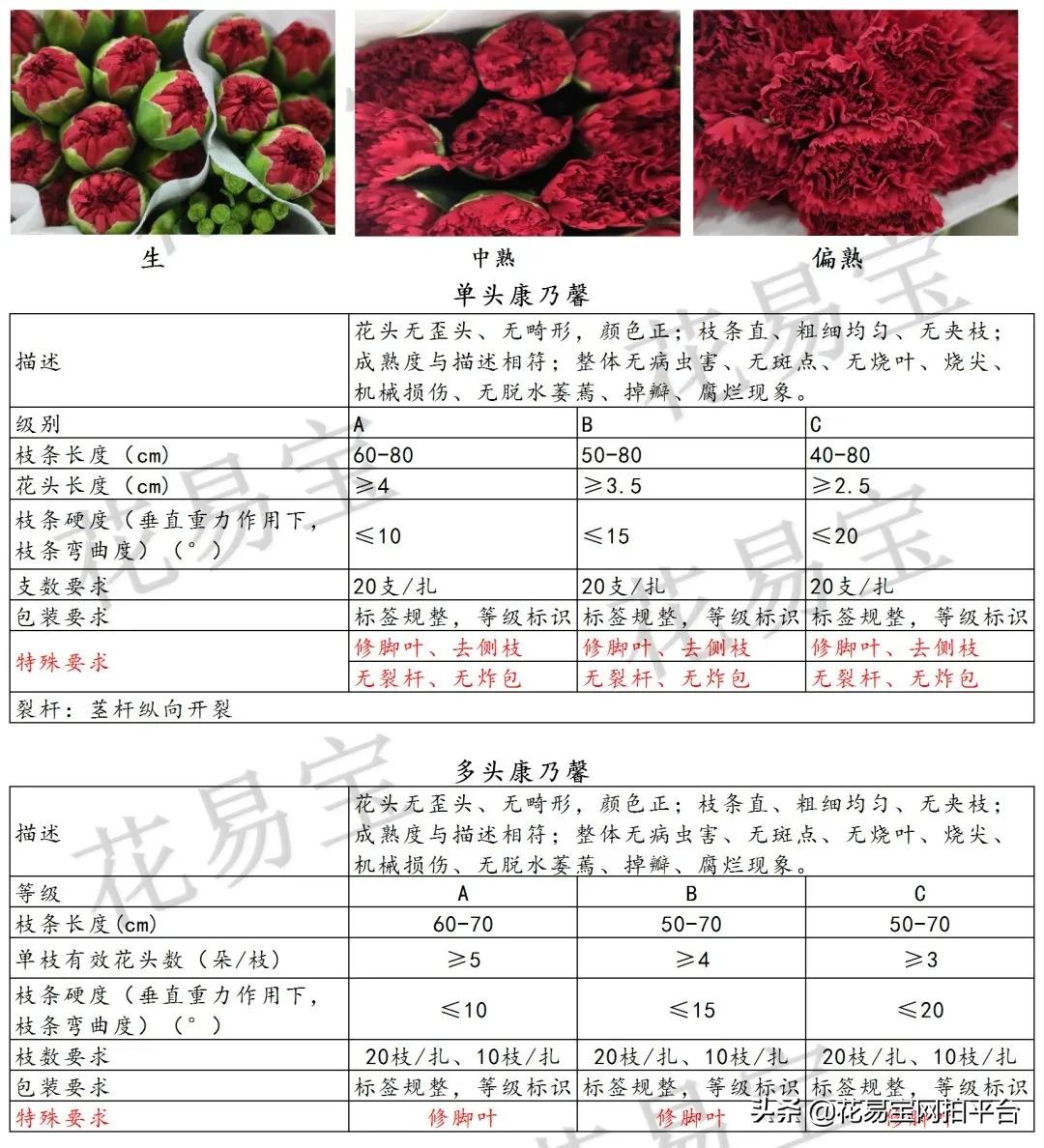 围观|教师节备货高峰的质检中心是什么样子的？