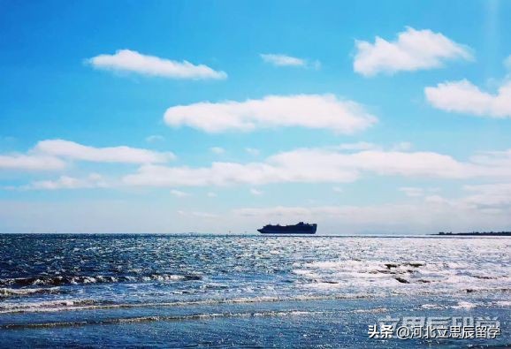 澳洲留学生入境带什么材料,去澳洲留学有些物品切记不可带