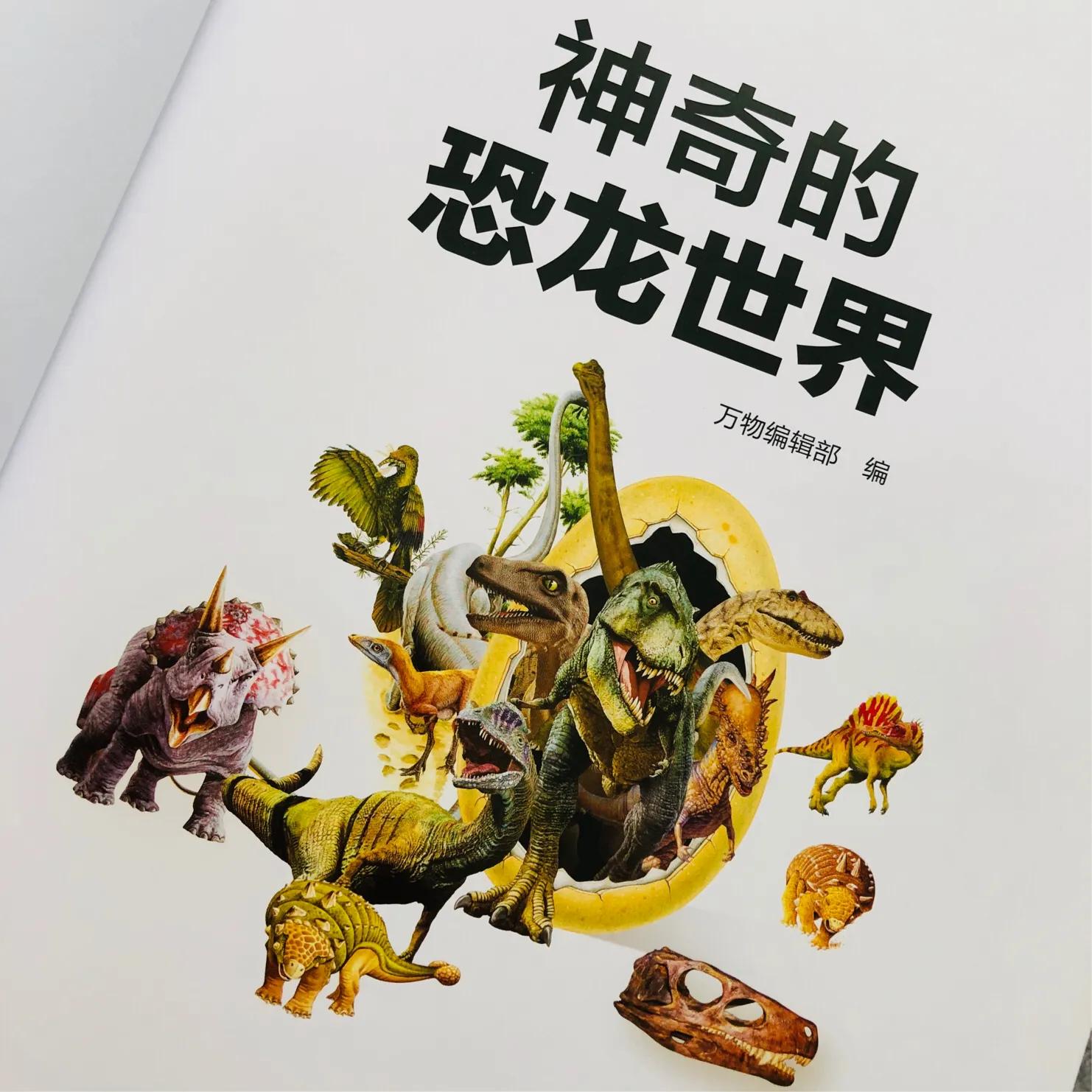 恐龙大比拼动画,恐龙大比拼视频