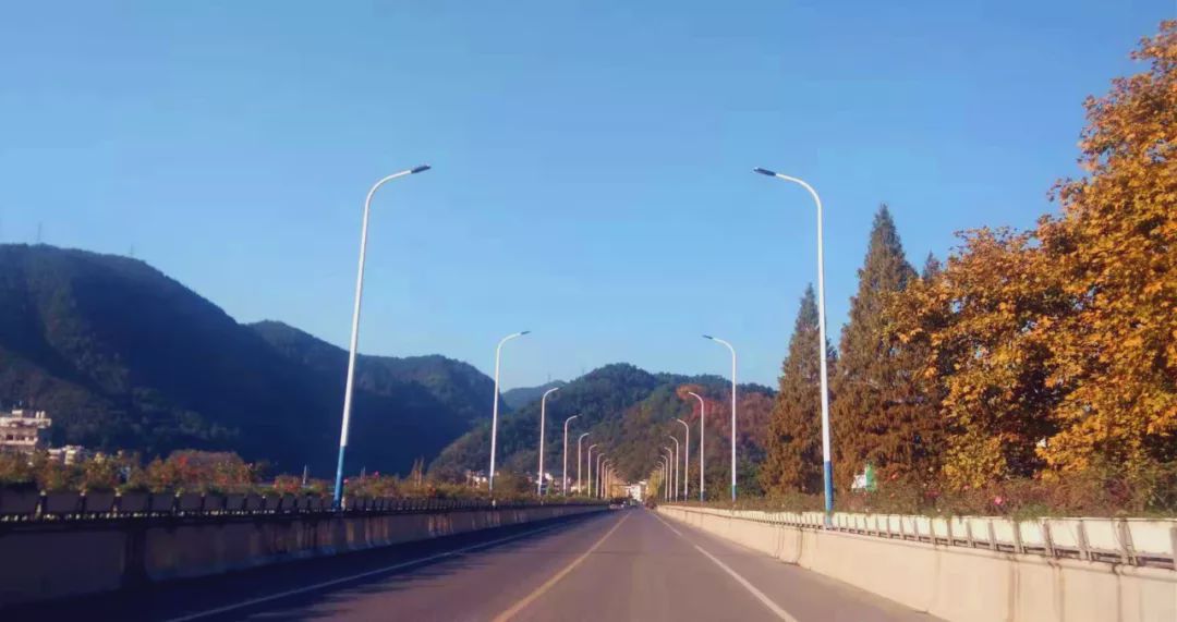 智运会开幕式,智运会地点