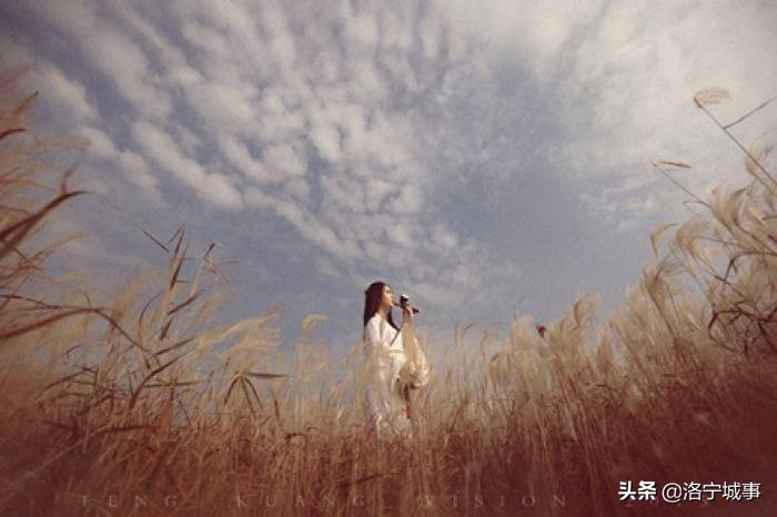 河南洛宁马红军,洛宁马红军咏牡丹视频