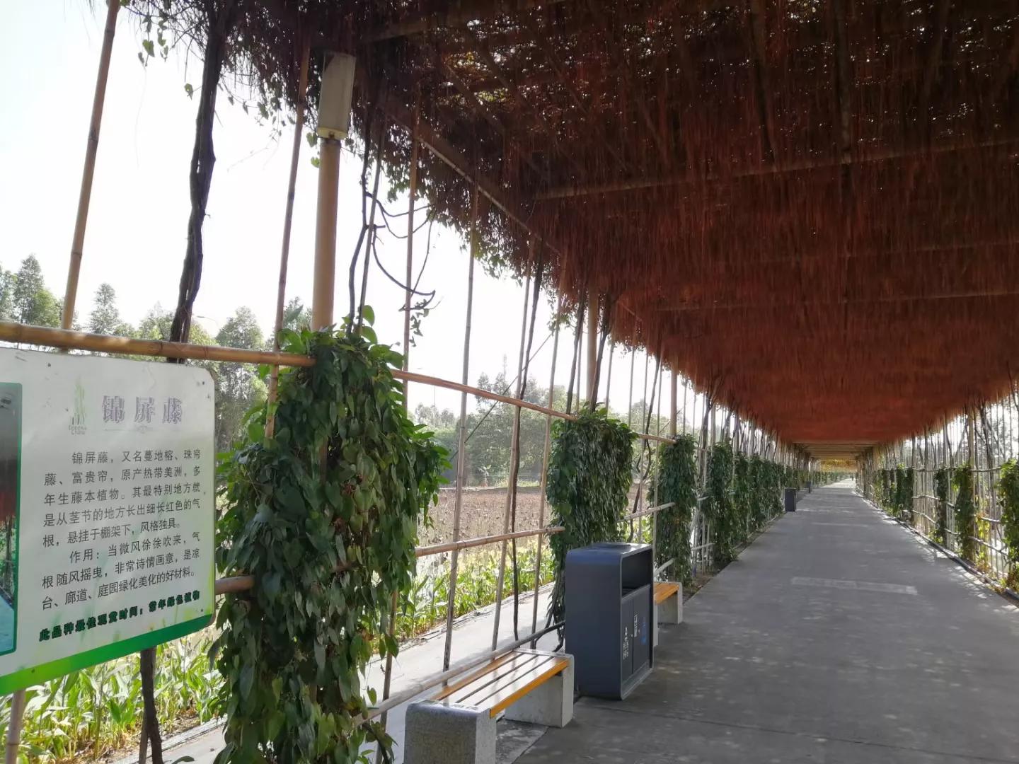 番禺地铁7号线旅游攻略,广州番禺七号线游玩攻略