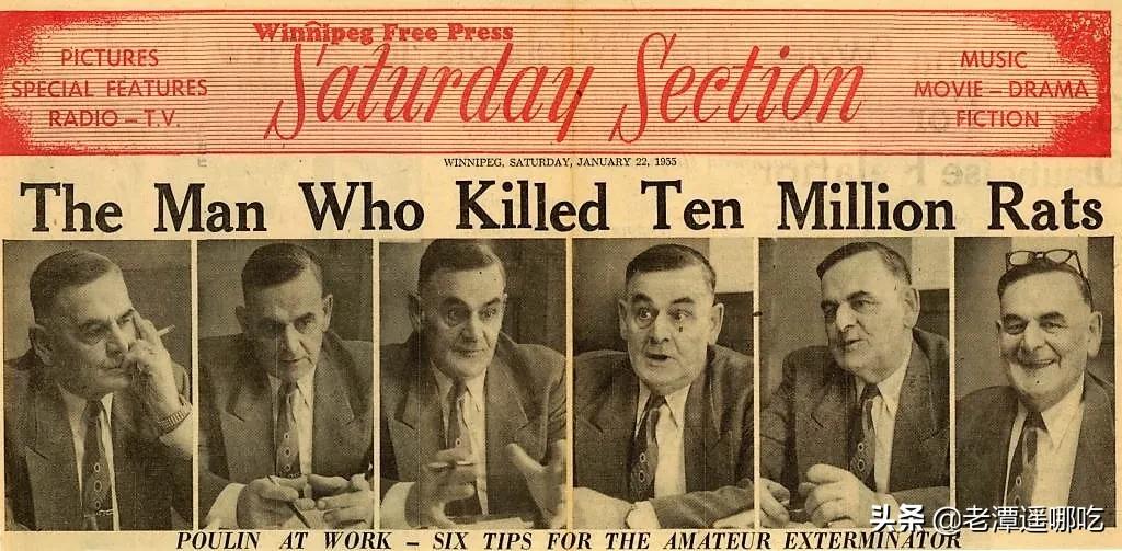 加拿大哪个城市老鼠最多,加拿大没有老鼠的地方