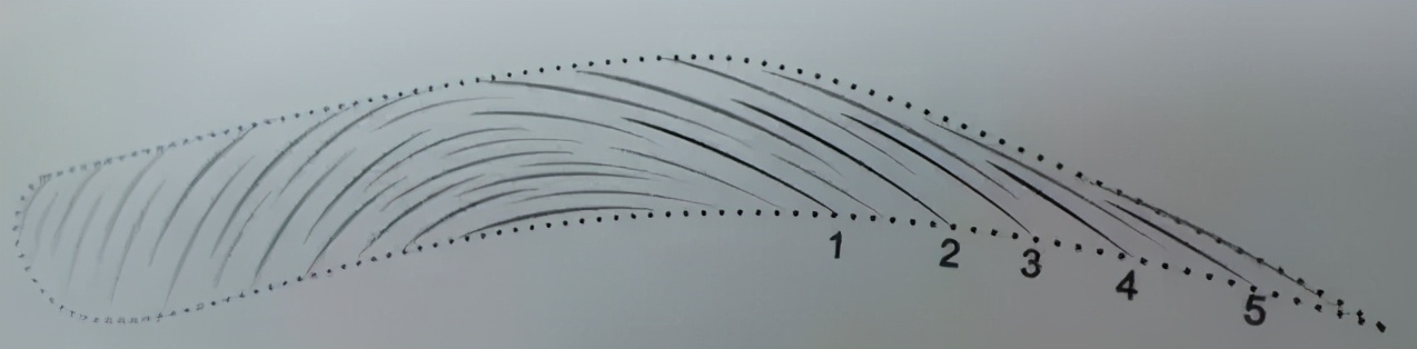 纹绣师设计眉形时如何与顾客沟通,2022纹绣师必须掌握的五大眉形