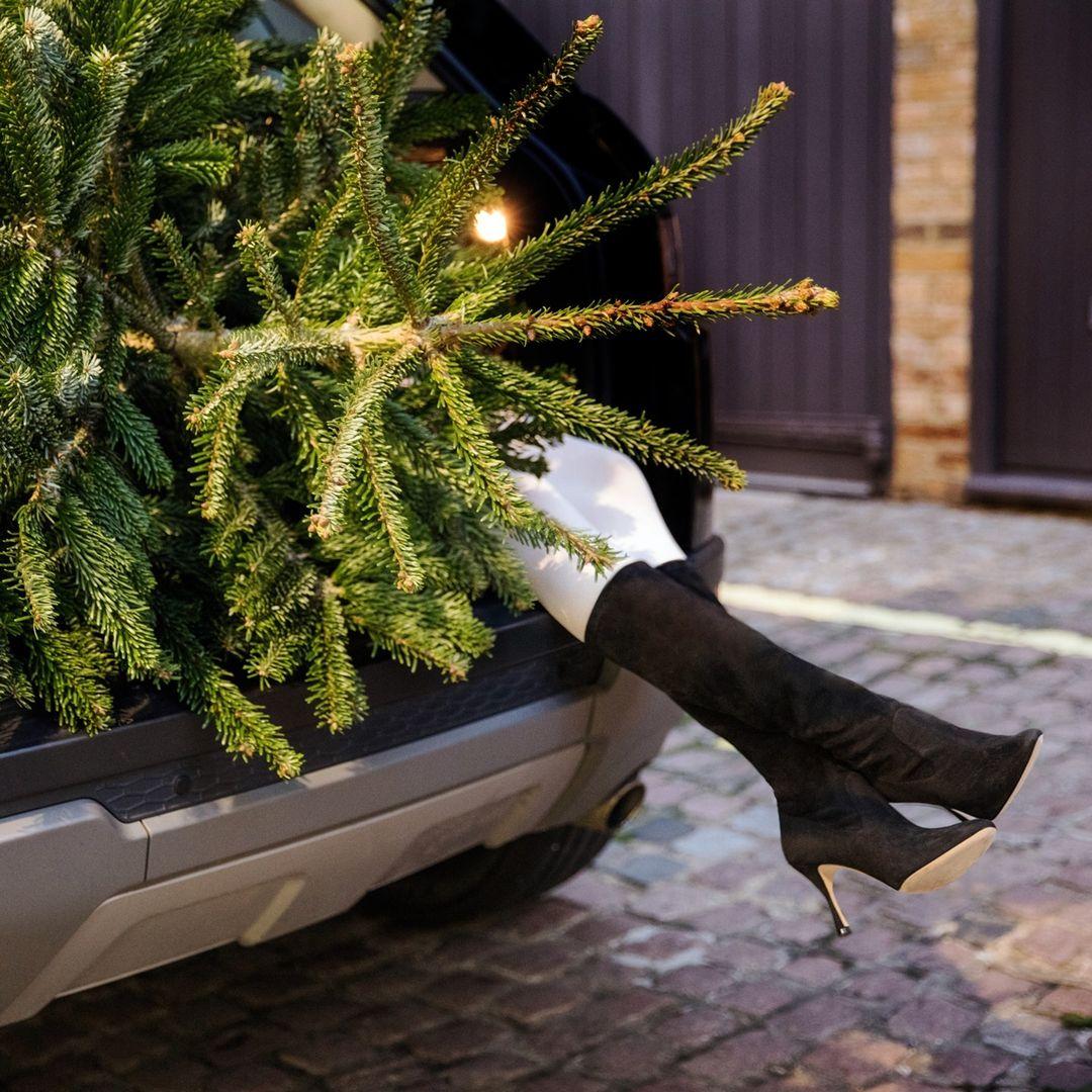 惊艳的高跟鞋设计,绝美设计感高跟鞋