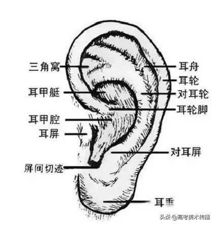 速写五官技法,速写五官的画法精讲