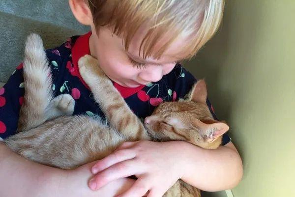 养猫对人体健康有什么好处,家里养猫究竟好处多还是坏处多