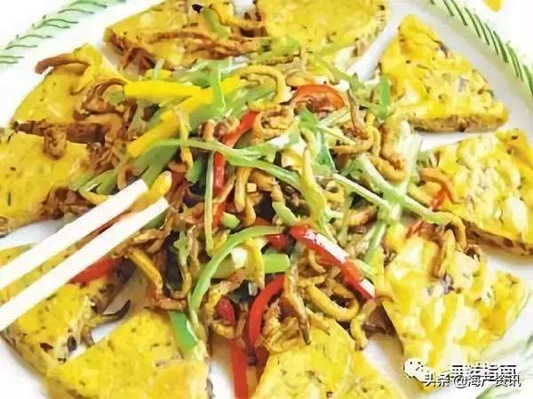 可以吃的海虫都有哪些,沙虫海肠的区别