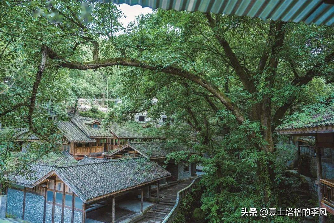 重庆值得一去的5个古镇,重庆最值得去的十大古镇