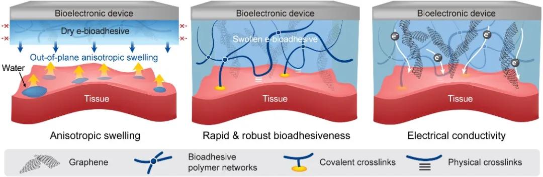 人机界面交互技术,生物粘性电子科技
