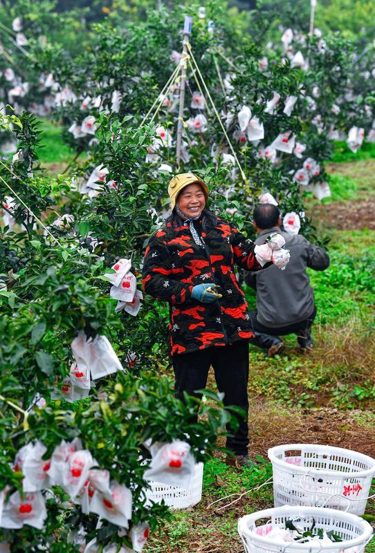 家乡好物带货直播,家乡好物直播视频