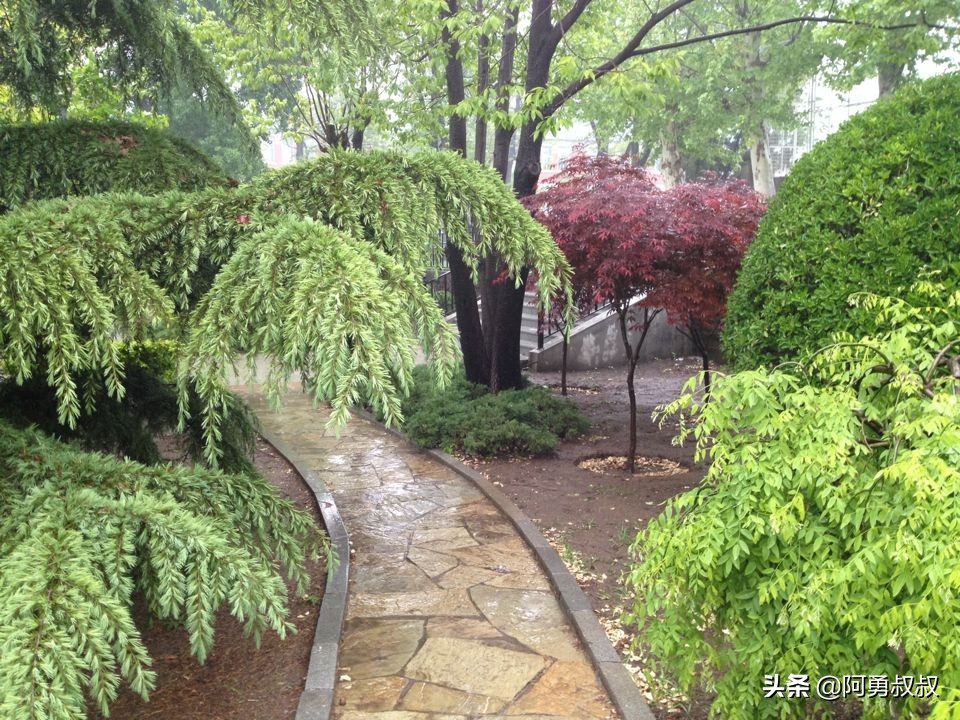 大连全国百强国际学校,大连第二十四中学全国排名