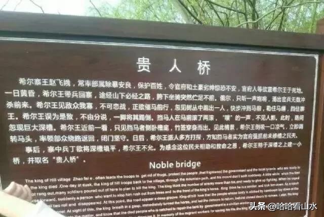 希尔寨，花的世界，花的海洋