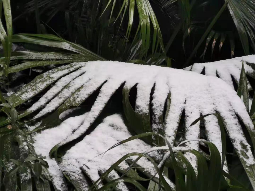 遵义金鼎山雪景,雪景景区推荐遵义