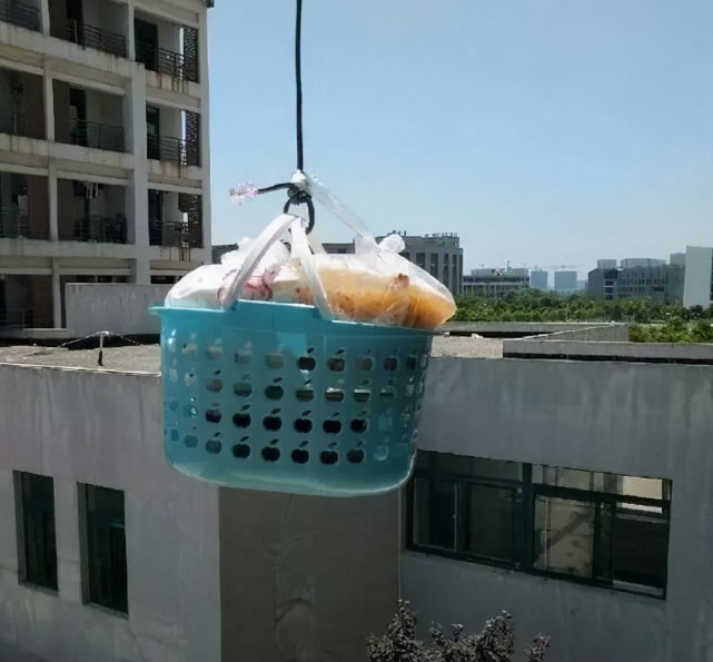 人类与外星生物融为一体,外星植物属于外星生命吗