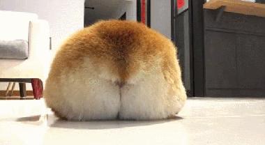 腿细胯宽屁股扁平,屁股扁塌显腿短