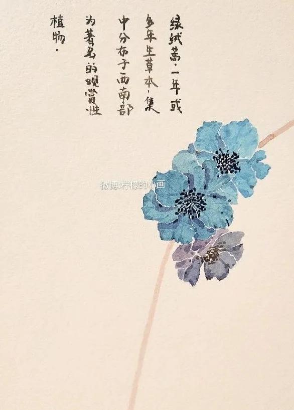 分享一组好看的小清新水彩插画,不来看看简单水彩小插画的教程吗