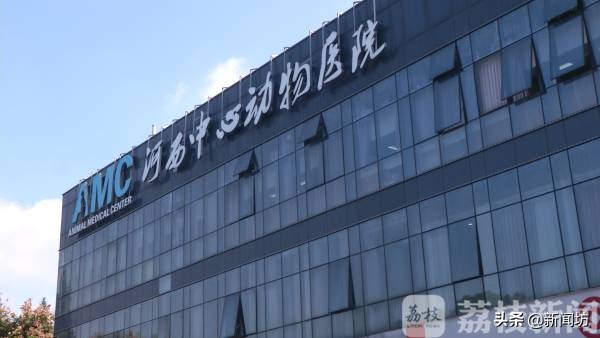 女孩耳朵总是沙沙作响，一查竟是因为“吸猫”