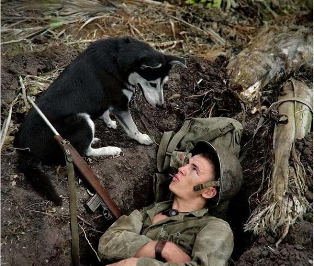 各国眼中的“少爷”兵，看美军军粮发现实至名归，后勤保障够优势