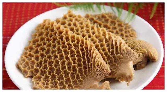 毛肚牛百叶金钱肚的知识,牛肚的金钱肚和牛百叶肚有何区别