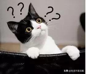 注销的微信账号是什么样的,注销微信账号要注意什么