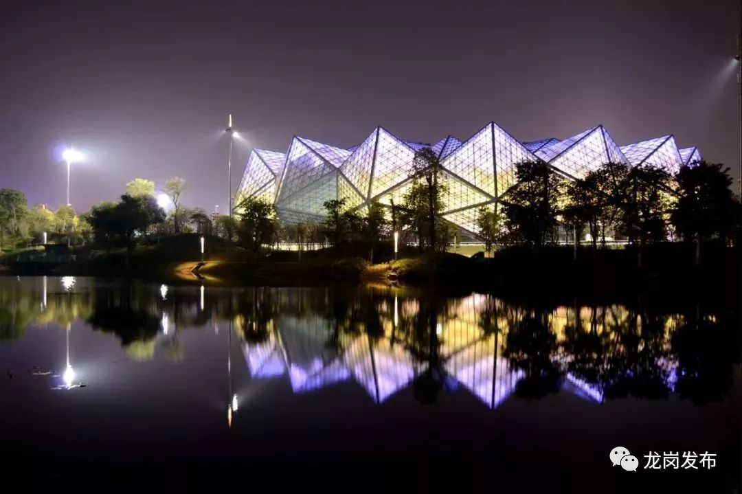 夜太美！龙岗人的夜生活原来如此丰富~