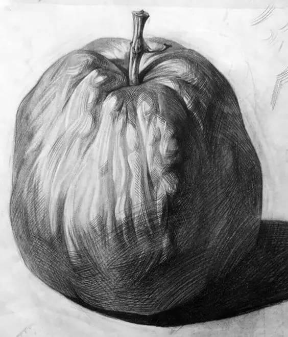 素描不会画实物怎么办,素描静物不会深入刻画