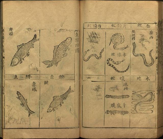 李时珍本草纲目书目录,李时珍本草纲目下卷