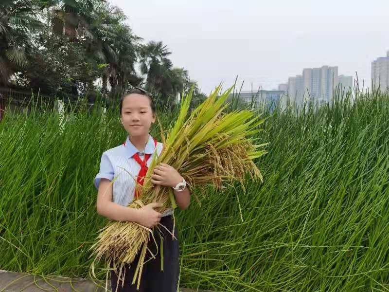 西安新优质成长学校,碑林区新优质小学