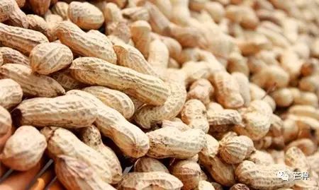 花生高产栽培技术视频,种花生到收花生的所有过程