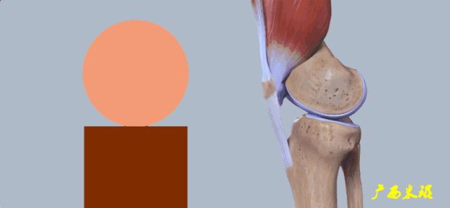 听骨科医生讲的话,听完骨科专家的一段话