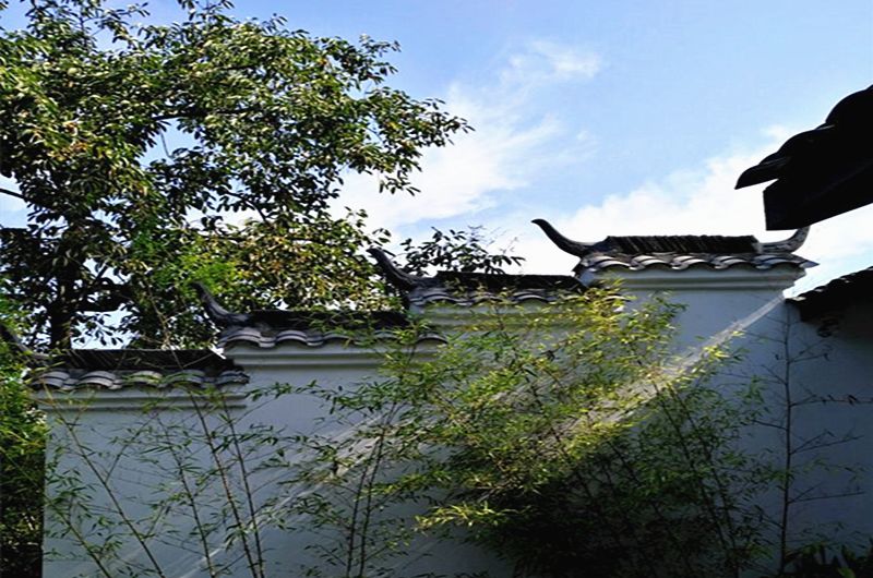 乡村振兴特点文化案例分享,关于乡村振兴比较有创意的点子