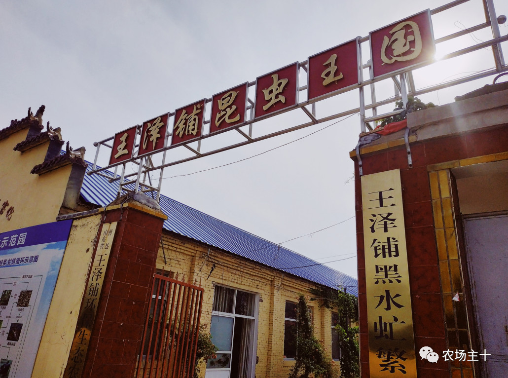 从乞丐到身价200万仅用一年时间,从乞讨到名相的传奇人生