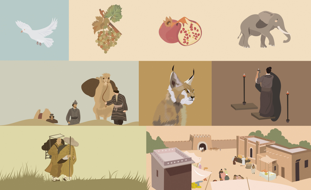 赵墨染绘本作品推荐｜她的绿色童年，以及我们的火车