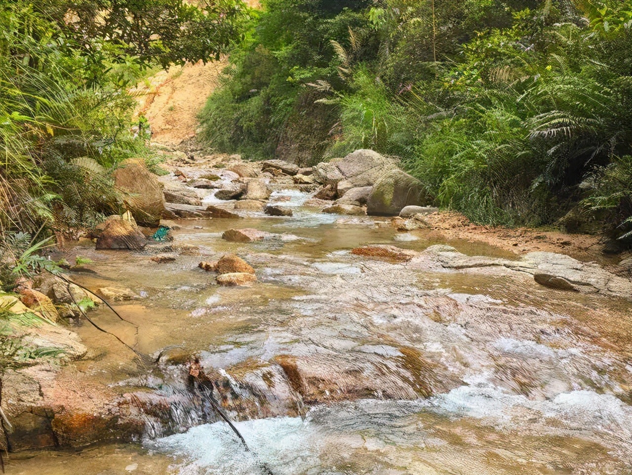来自花东地胆小编亲测，哩滴店某得你唔食