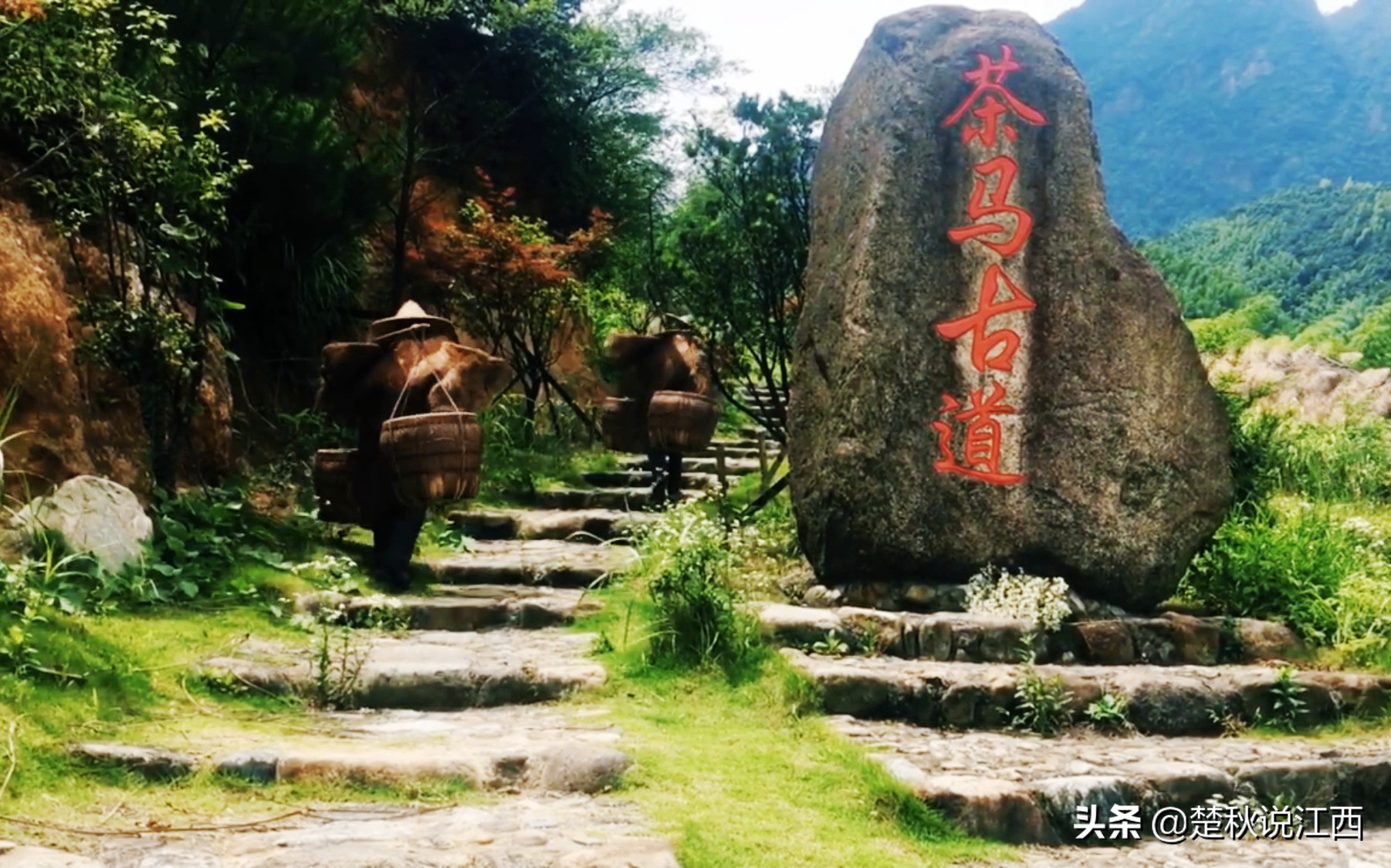 江西武陵红茶,江西最好的红茶