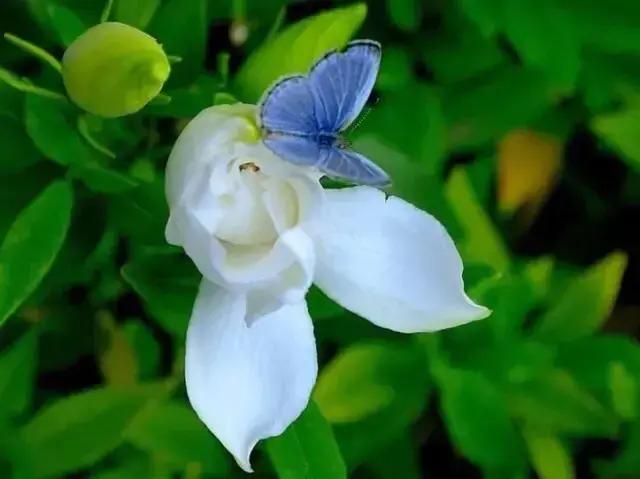 芒种种出新希望,芒种和幸福播种