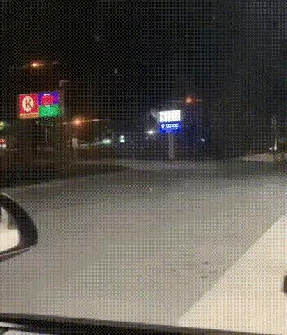 橘猫被抓警察局,肥猫被警察带走判刑