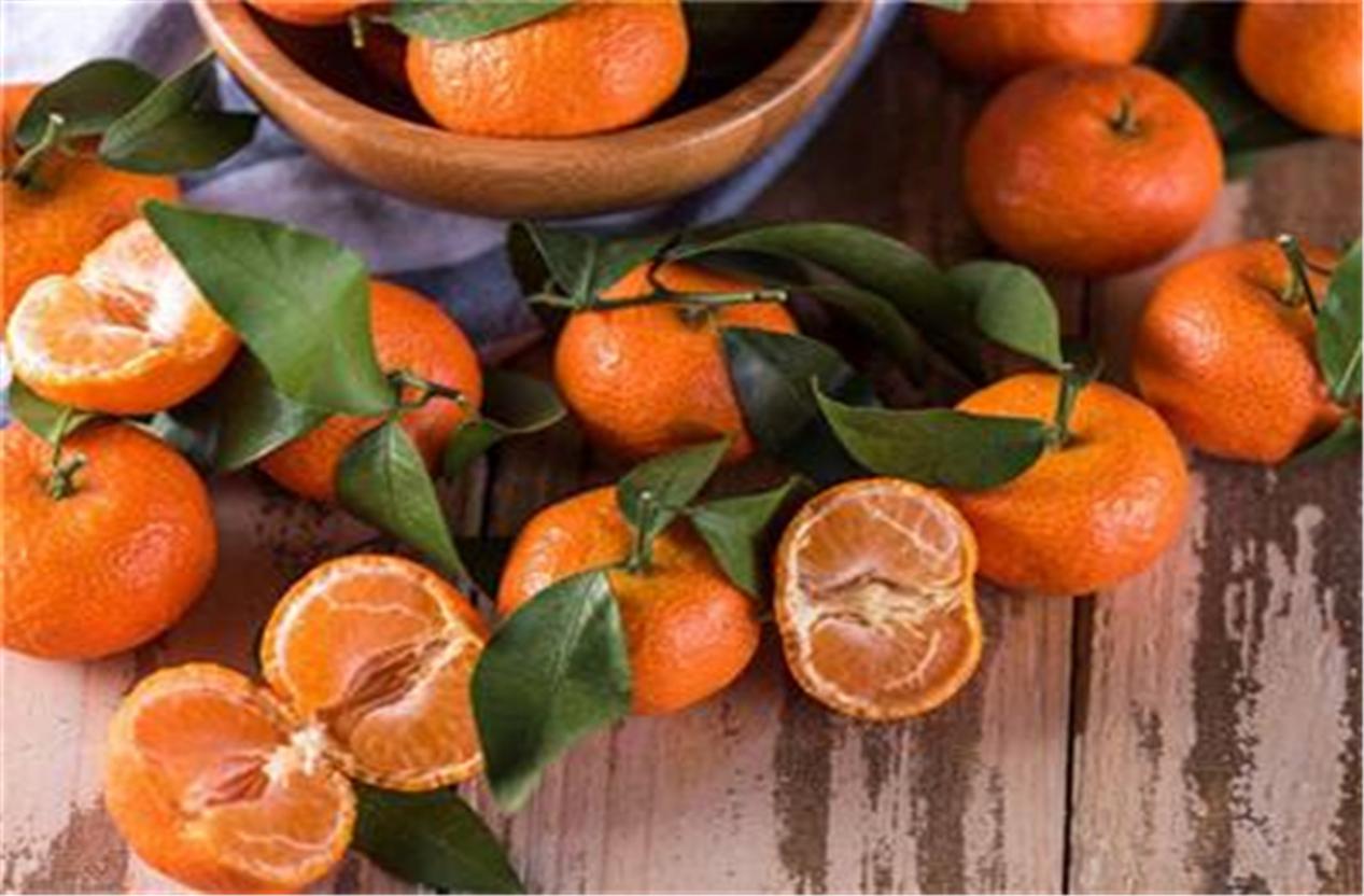 砂糖橘怎么挑好吃,四会砂糖橘怎么挑选好吃