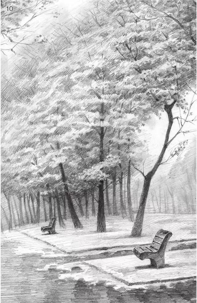 树林素描简单画法,树林中的光影画简单素描