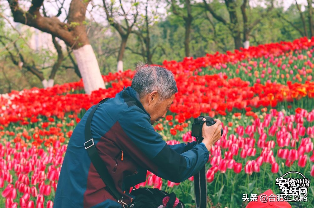合肥未来价值高地,合肥一座发展中的城市