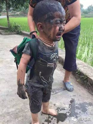 猪饿死了、财报被偷了……我墙都不扶，就服这些上市公司的手段！