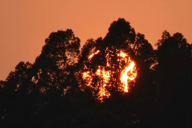 反者道之动：正话反说与正话反听