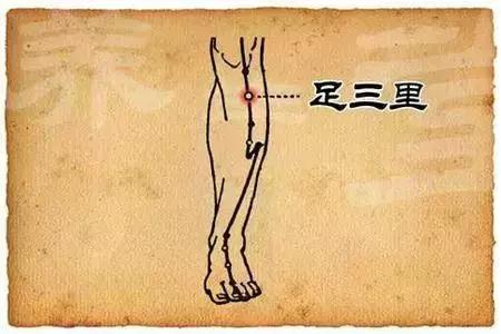 脾胃灸和脾胃调理区别,中医理疗调理脾胃的手法