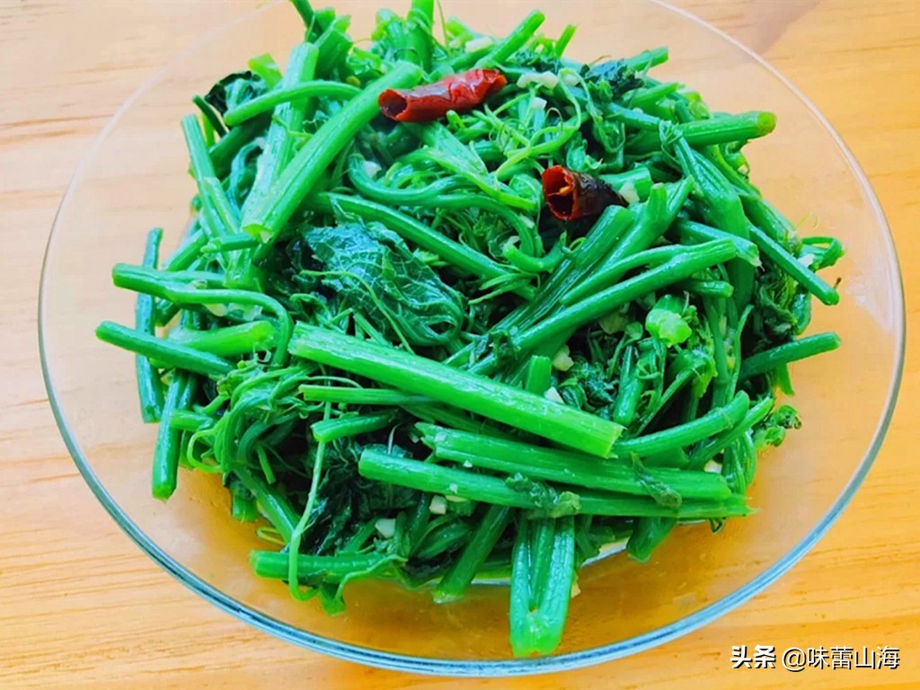 龙须菜和瓜苗菜哪个好吃,海石花菜龙须菜哪个好吃